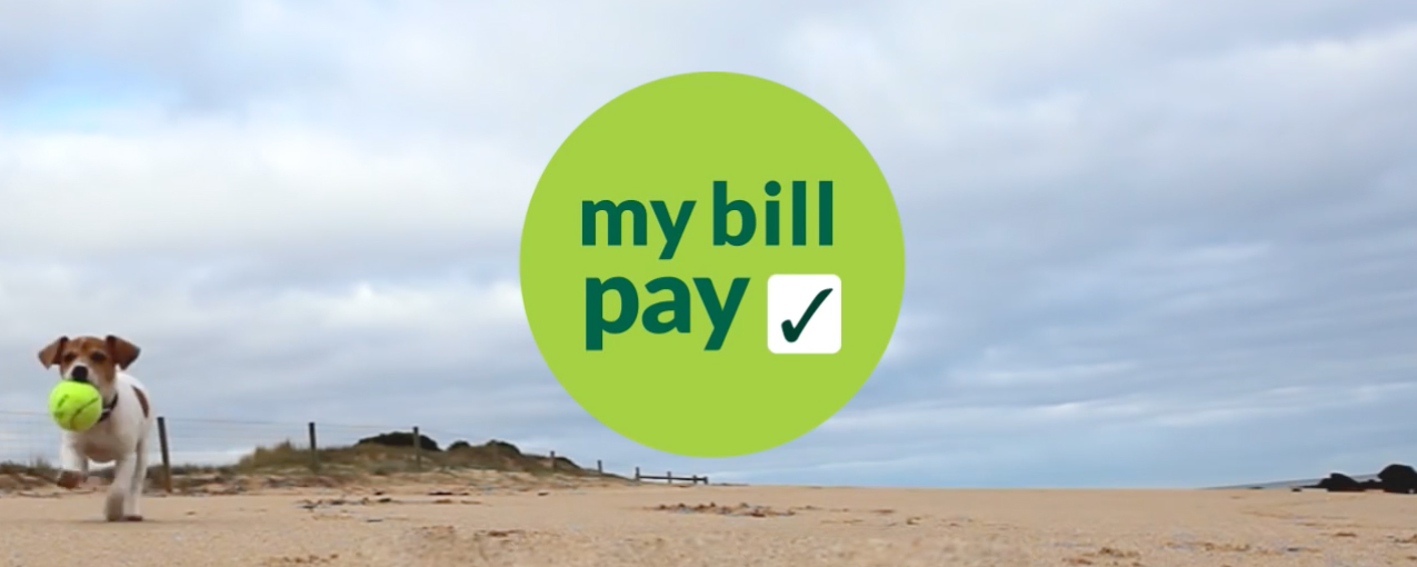 Seventh slide image, picture link to My Bill Pay page
